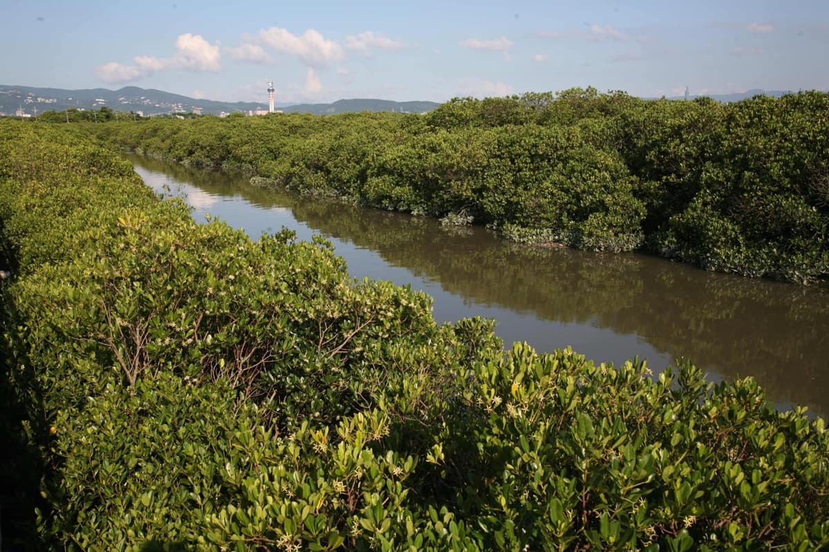 台北新景點「關渡碼頭」將升級!限定「霓虹X漁村藍」淡水河岸,還有攤車+表演 台北新景點「關渡碼頭」將升級!限定「霓虹X漁村藍」淡水河岸,還有攤車+表演