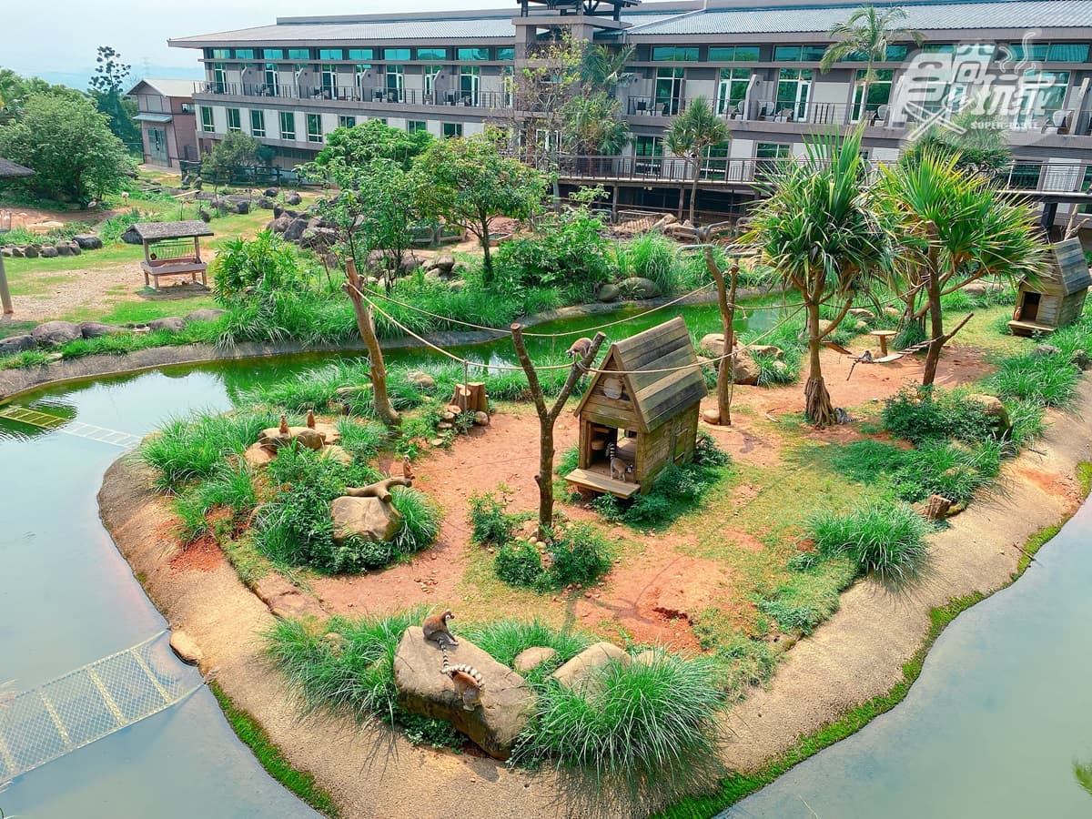 全台唯一「動物園飯店」!長頸鹿、羊駝來敲窗,還有「丁滿」陪吃飯 全台唯一「動物園飯店」!長頸鹿、羊駝來敲窗,還有「丁滿」陪吃飯
