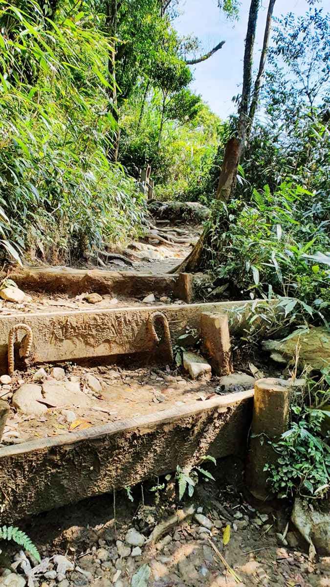 網美們你確定要爬「抹茶山」?和小林賢伍一起賞抹茶冰淇淋,發現4個真相 網美們你確定要爬「抹茶山」?和小林賢伍一起賞抹茶冰淇淋,發現4個真相