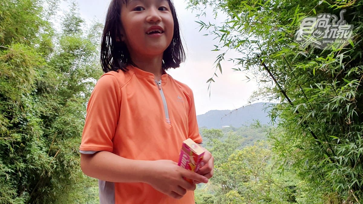 夏季涼爽親水步道!親子健行作家大推坪頂古圳,曬不到太陽還可玩水呢 夏季涼爽親水步道!親子健行作家大推坪頂古圳,曬不到太陽還可玩水呢