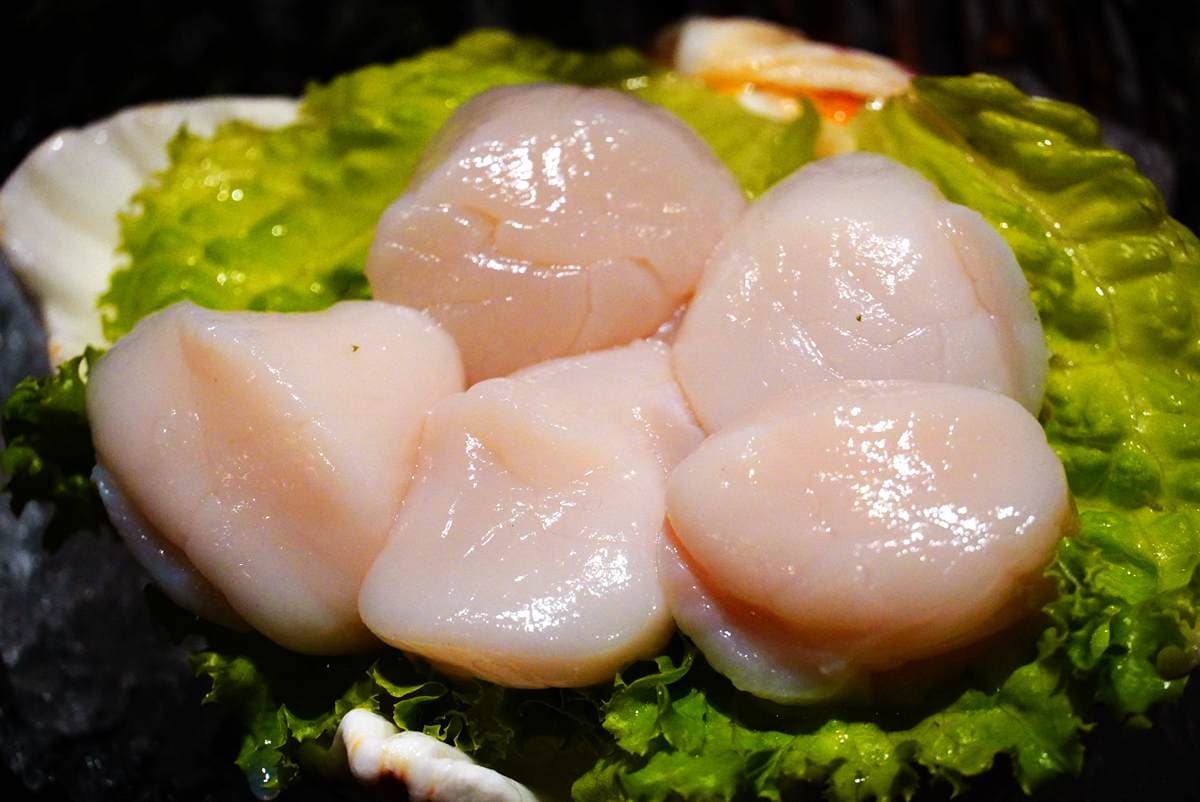 一定要「振興優惠」!雙子巨蟹座吃鍋送全桌每人10倍蛤蜊,西堤振興券送380牛排餐 一定要「振興優惠」!雙子巨蟹座吃鍋送全桌每人10倍蛤蜊,西堤振興券送380牛排餐