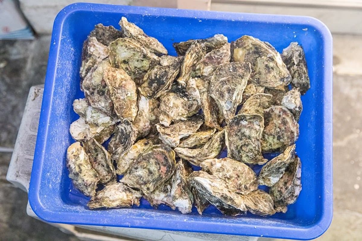 超欠吃!新竹百年老市場「痛風系海鮮粥」,一整碗滿滿蝦子、牡蠣、貝類 超欠吃!新竹百年老市場「痛風系海鮮粥」,一整碗滿滿蝦子、牡蠣、貝類