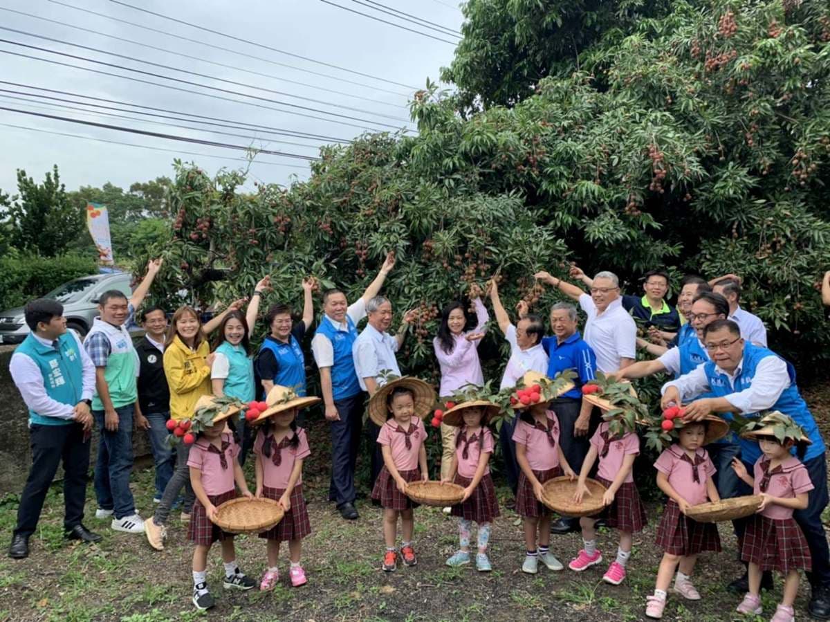 來採荔枝!新竹6果園限時開放採果DIY,100元入園免費吃到飽 來採荔枝!新竹6果園限時開放採果DIY,100元入園免費吃到飽