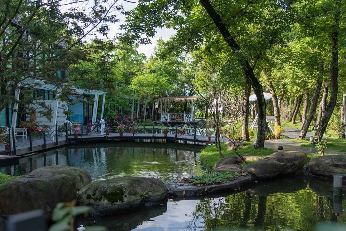 望出去就是綠油油一片!宜蘭「水岸楓林」峇里島度假感爆棚,加碼「兩天一夜行程」看海、餵小鹿 望出去就是綠油油一片!宜蘭「水岸楓林」峇里島度假感爆棚,加碼「兩天一夜行程」看海、餵小鹿
