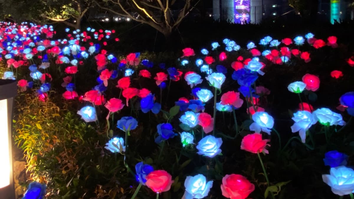 打卡熱點再一波!夢幻「4000朵玫瑰燈海」就在信義區,讓你美到親友都讚嘆 打卡熱點再一波!夢幻「4000朵玫瑰燈海」就在信義區,讓你美到親友都讚嘆