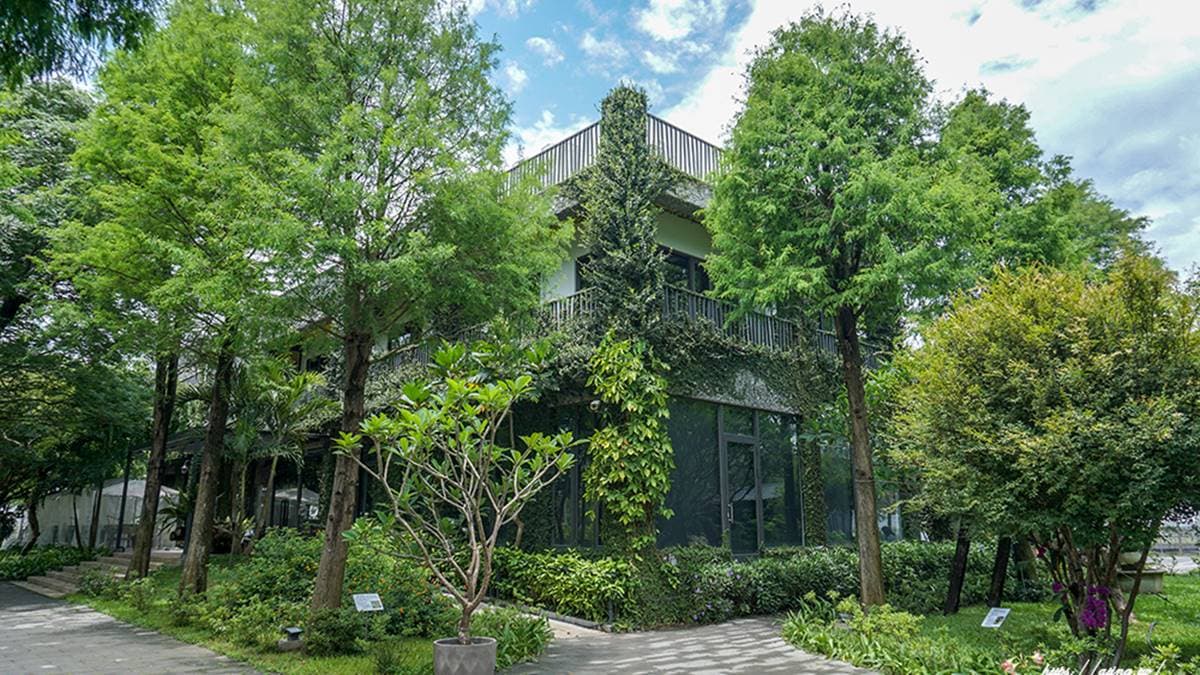 用餐大口吸芬多精!彰化祕境餐廳開在森林裡,必點野牛鍋搭自製麻辣湯底更對味 用餐大口吸芬多精!彰化祕境餐廳開在森林裡,必點野牛鍋搭自製麻辣湯底更對味