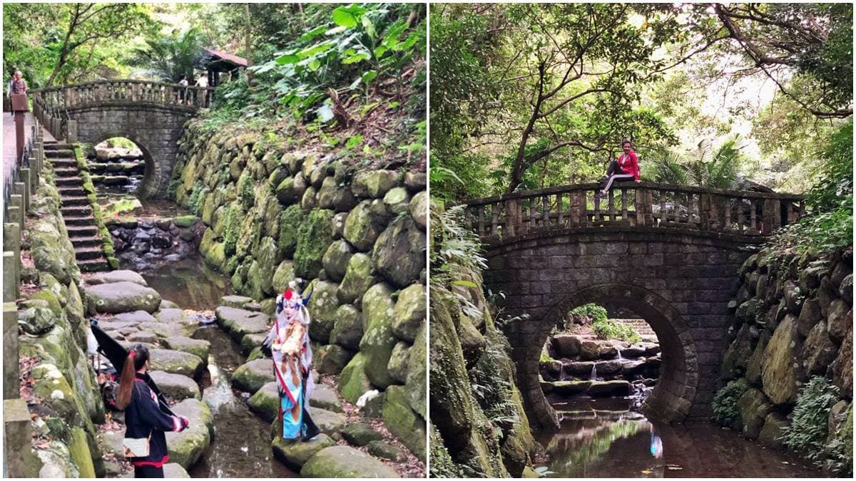 台北打卡祕境!超好走親山步道遠眺101,必拍偽出國加州風椰子林 台北打卡祕境!超好走親山步道遠眺101,必拍偽出國加州風椰子林