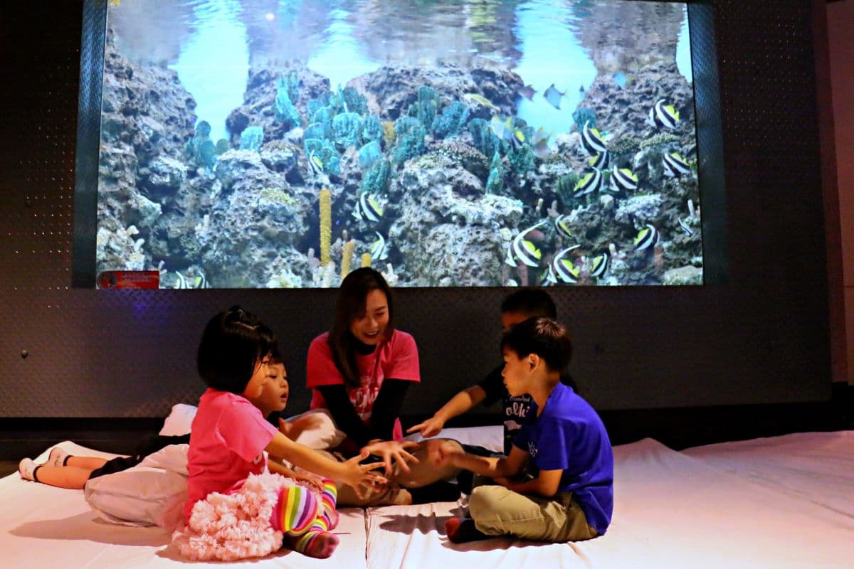 和海獅一起睡!遠雄海洋公園推「夜宿水族館」活動,加碼與海豚親密互動 和海獅一起睡!遠雄海洋公園推「夜宿水族館」活動,加碼與海豚親密互動