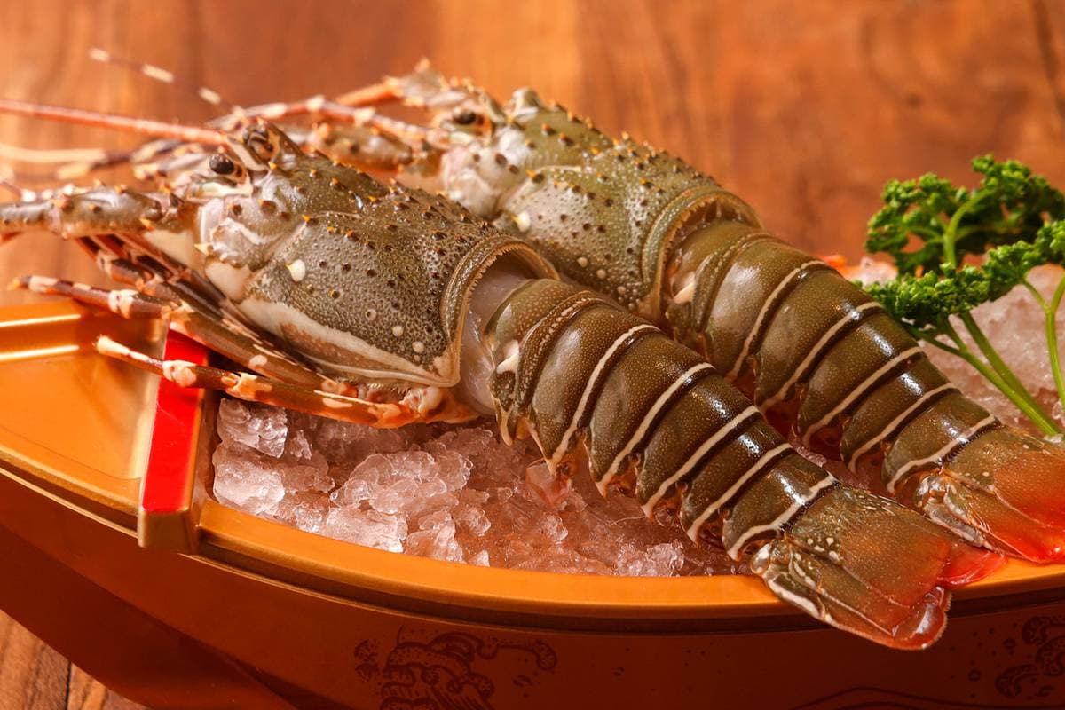 挑戰最高CP值!燒肉吃到飽438元起,港點、冰品飲料任你拿,開幕前3天1人免費 挑戰最高CP值!燒肉吃到飽438元起,港點、冰品飲料任你拿,開幕前3天1人免費