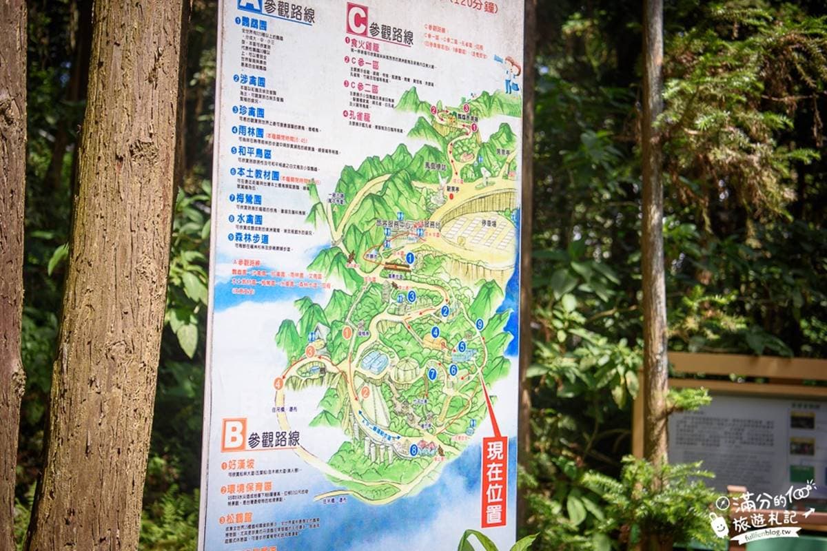 親子避暑踏青趣!來南投祕境鳳凰谷玩森林溜滑梯,還有網美吊橋也必拍 親子避暑踏青趣!來南投祕境鳳凰谷玩森林溜滑梯,還有網美吊橋也必拍