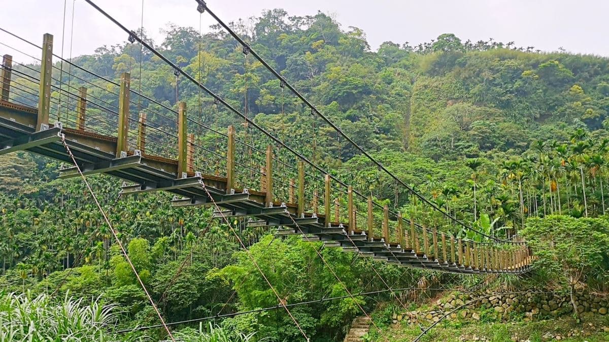 不出國遊東南亞叢林!雲林繩索吊橋刺激又好拍,「小天梯」還能俯瞰溪谷美景 不出國遊東南亞叢林!雲林繩索吊橋刺激又好拍,「小天梯」還能俯瞰溪谷美景