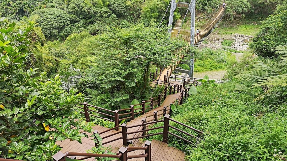 不出國遊東南亞叢林!雲林繩索吊橋刺激又好拍,「小天梯」還能俯瞰溪谷美景 不出國遊東南亞叢林!雲林繩索吊橋刺激又好拍,「小天梯」還能俯瞰溪谷美景