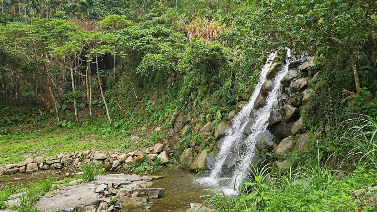 不出國遊東南亞叢林!雲林繩索吊橋刺激又好拍,「小天梯」還能俯瞰溪谷美景 不出國遊東南亞叢林!雲林繩索吊橋刺激又好拍,「小天梯」還能俯瞰溪谷美景