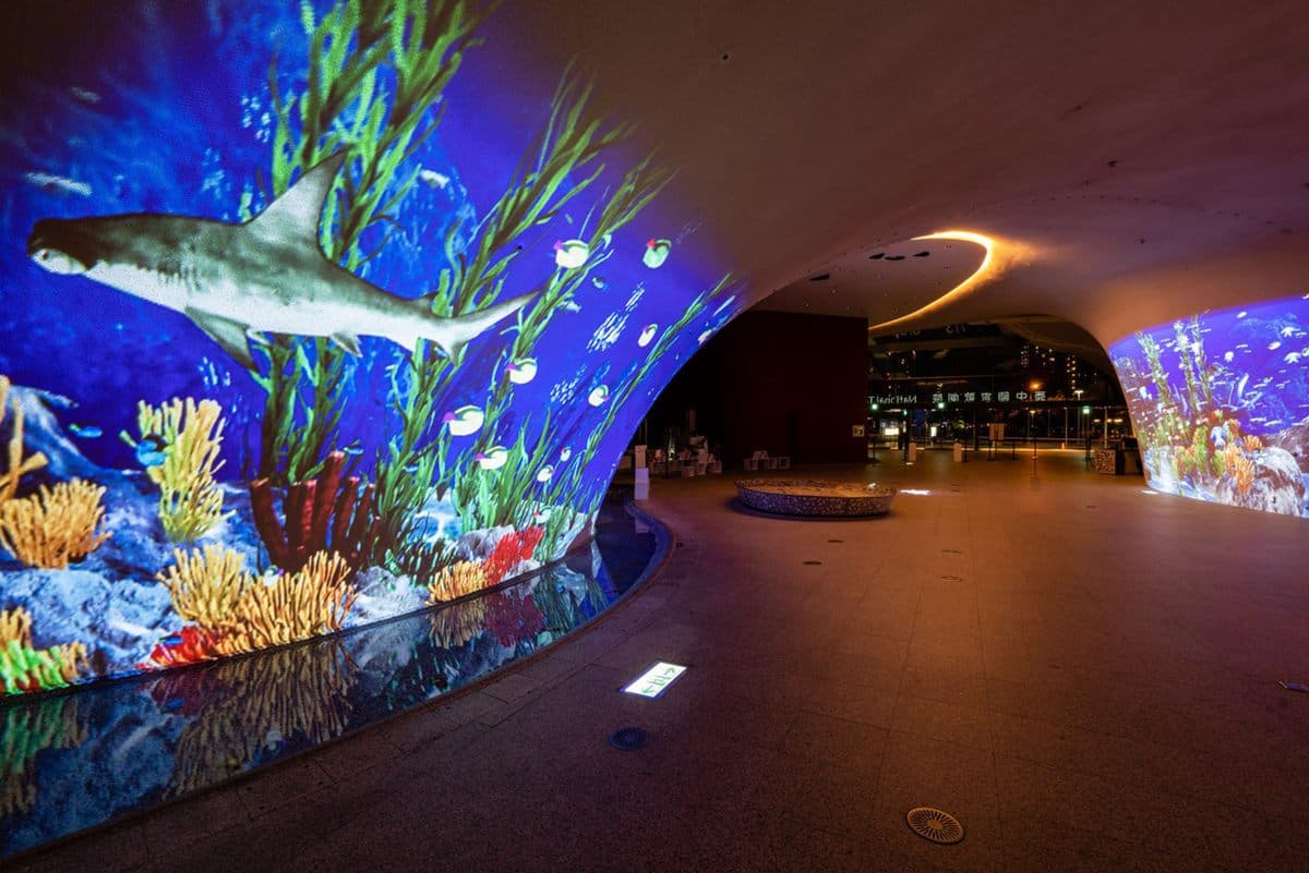 不出國、免花錢就能看極光!台中歌劇院光影秀還能變身水族館 不出國、免花錢就能看極光!台中歌劇院光影秀還能變身水族館