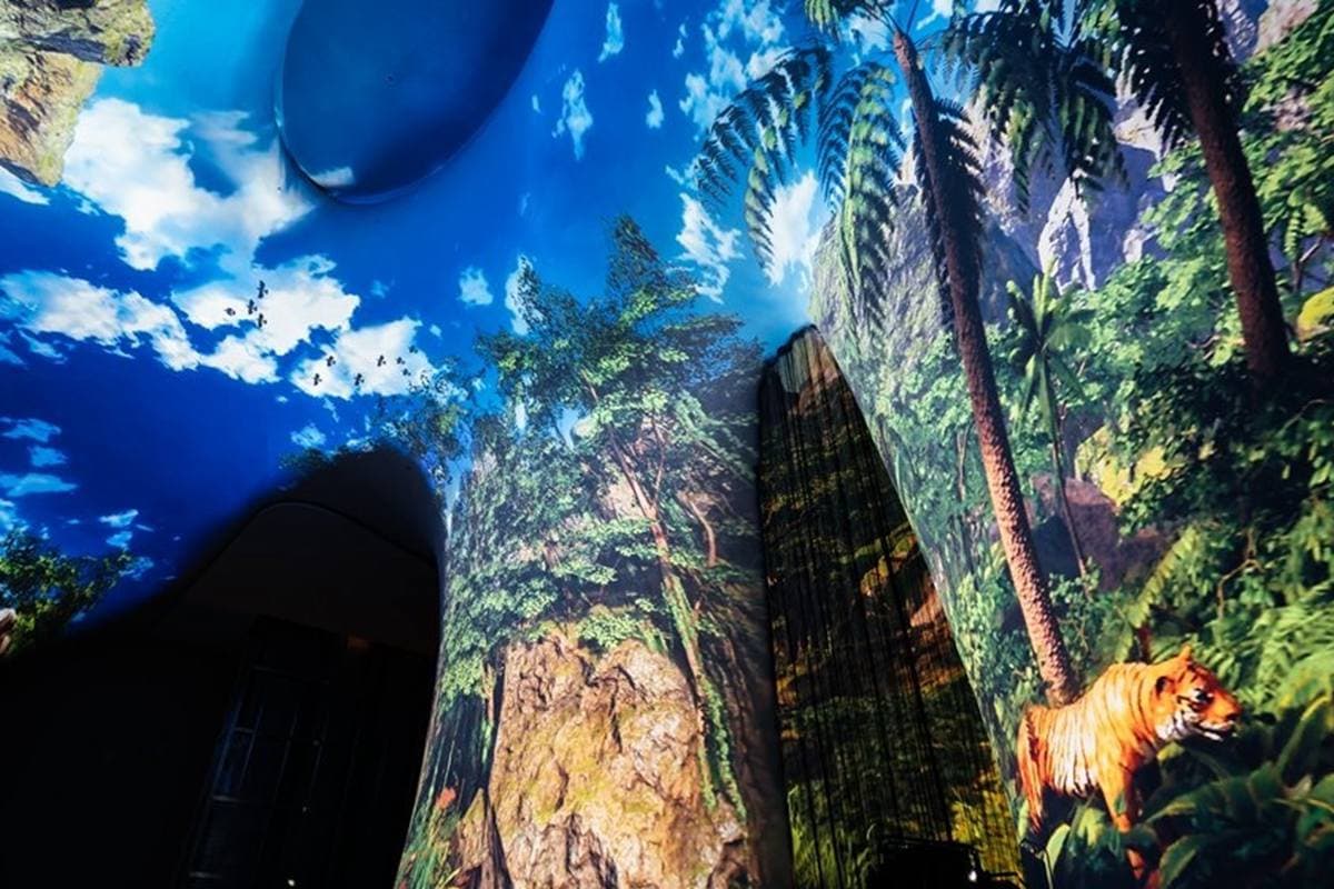 不出國、免花錢就能看極光!台中歌劇院光影秀還能變身水族館 不出國、免花錢就能看極光!台中歌劇院光影秀還能變身水族館