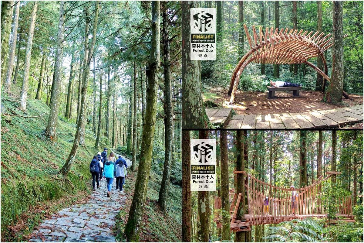 美拍柳杉樹海「免費入園」,搭台灣好行新路線玩東眼山,車票8折 美拍柳杉樹海「免費入園」,搭台灣好行新路線玩東眼山,車票8折