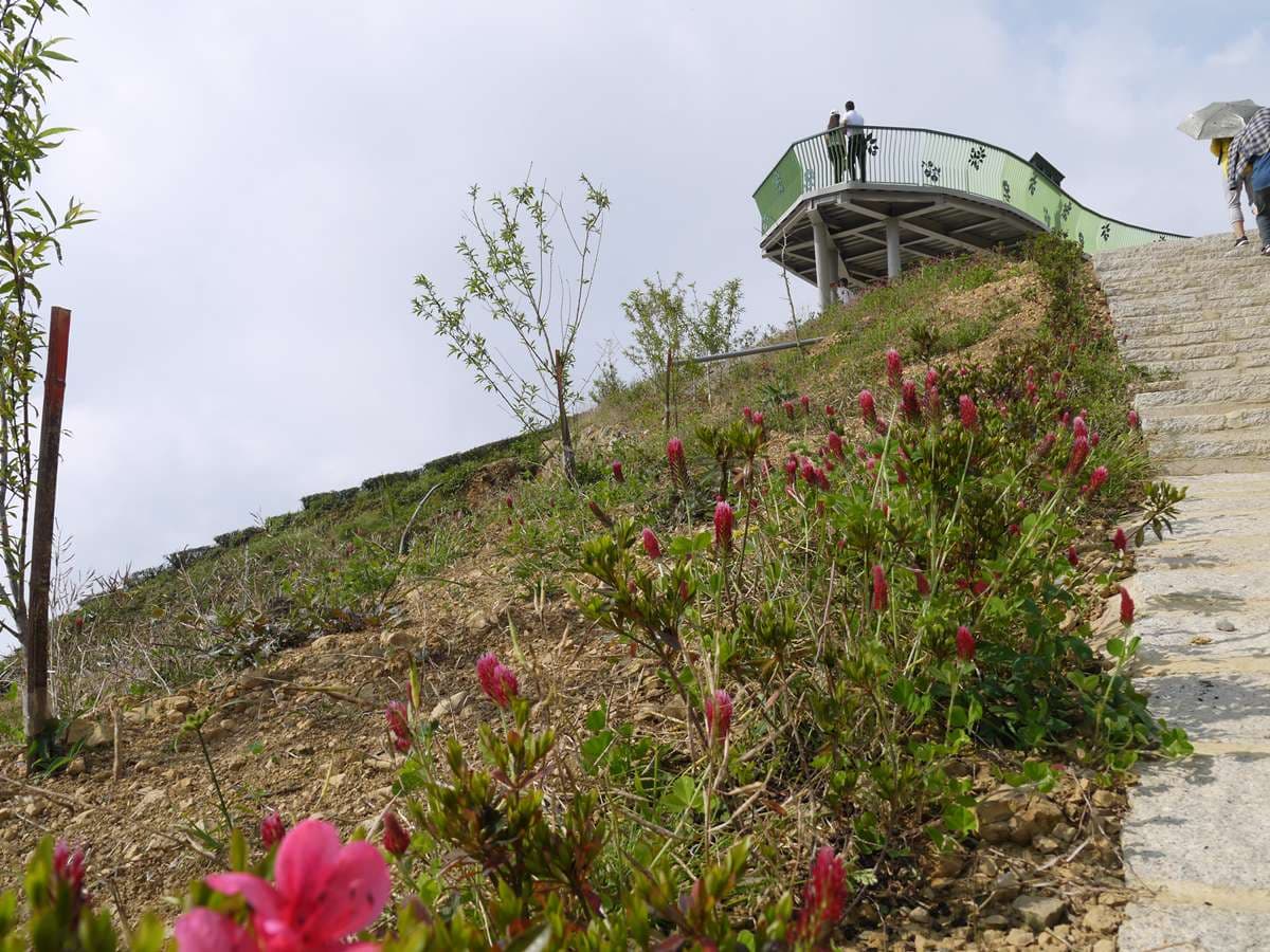 雲林祕境1日遊!天空之城看雲海、美拍台版嵐山,還能順路喝世界冠軍咖啡 雲林祕境1日遊!天空之城看雲海、美拍台版嵐山,還能順路喝世界冠軍咖啡