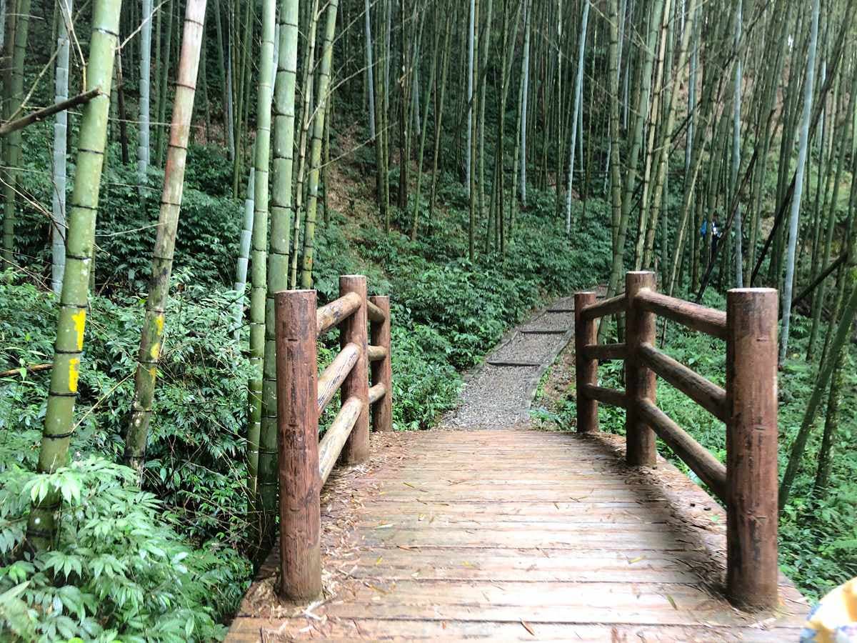 雲林祕境1日遊!天空之城看雲海、美拍台版嵐山,還能順路喝世界冠軍咖啡 雲林祕境1日遊!天空之城看雲海、美拍台版嵐山,還能順路喝世界冠軍咖啡