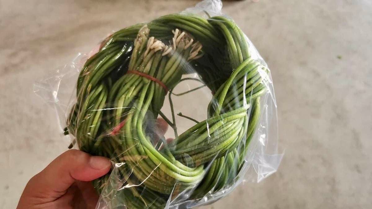比採草莓更好玩!高雄「採野蓮」超適合親子同樂,鮮脆水蓮還能免費帶回家 比採草莓更好玩!高雄「採野蓮」超適合親子同樂,鮮脆水蓮還能免費帶回家