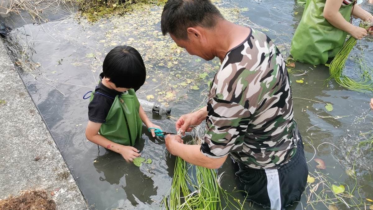 比採草莓更好玩!高雄「採野蓮」超適合親子同樂,鮮脆水蓮還能免費帶回家 比採草莓更好玩!高雄「採野蓮」超適合親子同樂,鮮脆水蓮還能免費帶回家