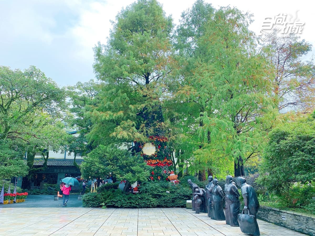 全台唯一「落羽松耶誕樹」!森林版「新北耶誕城」泡湯邊拍,還有海陸大餐、吃到飽爽嗑 全台唯一「落羽松耶誕樹」!森林版「新北耶誕城」泡湯邊拍,還有海陸大餐、吃到飽爽嗑