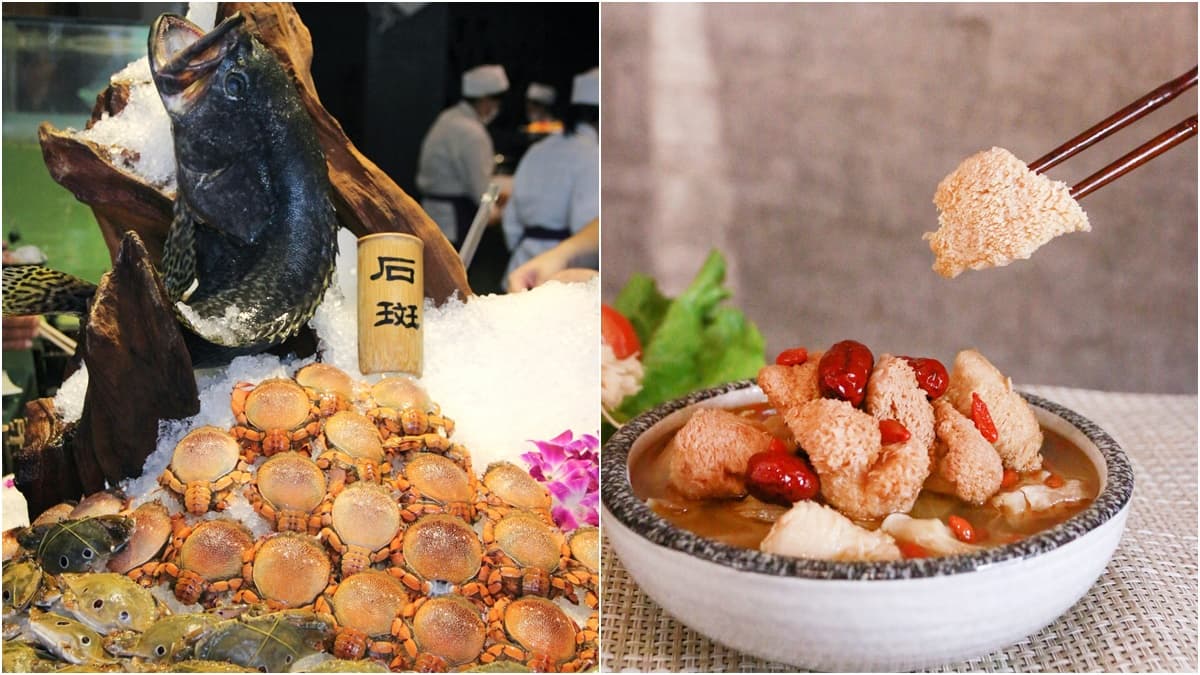 【新開店】打卡送「安格斯黑牛」!千葉火鍋開中部最大300坪門市,首3日祭雞佛吃到飽 【新開店】打卡送「安格斯黑牛」!千葉火鍋開中部最大300坪門市,首3日祭雞佛吃到飽