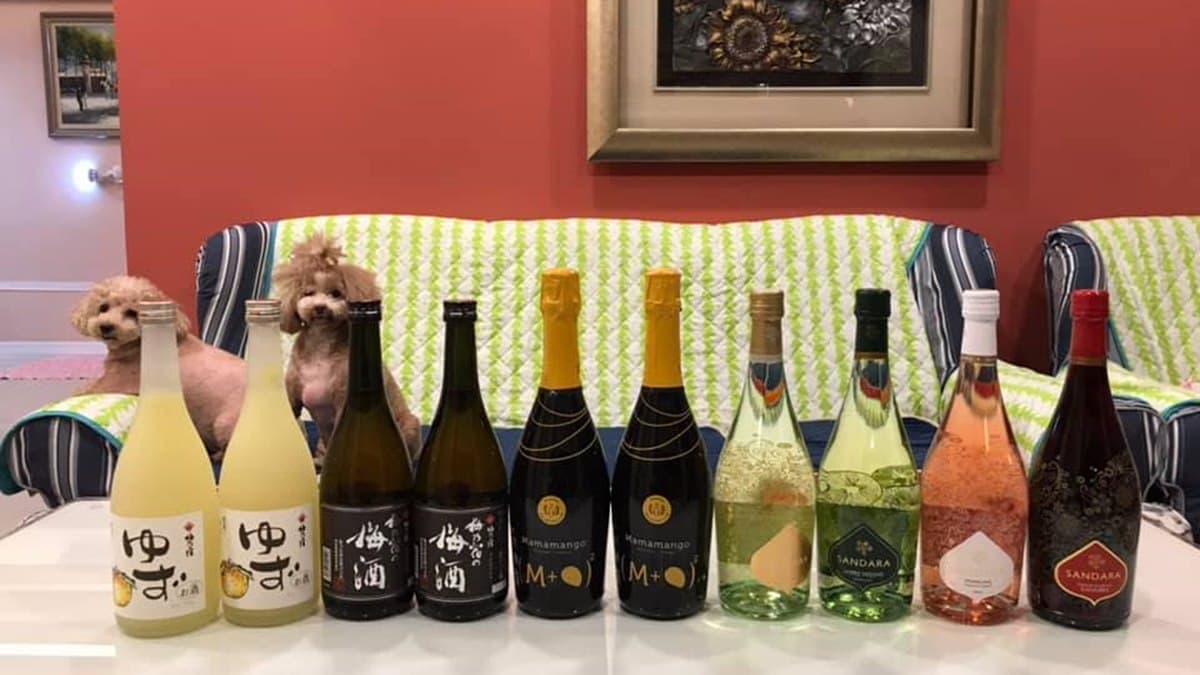 快衝好市多囤貨!日系「女力爆發飲品」限時特展,網讚嘆:「先搶柚子酒」 快衝好市多囤貨!日系「女力爆發飲品」限時特展,網讚嘆:「先搶柚子酒」