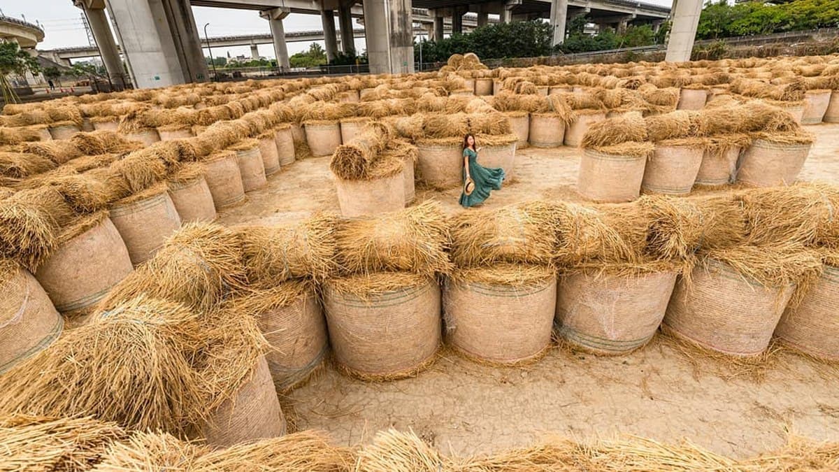 最萌祕境!闖全台最大「600捲稻草迷宮」,還能玩滾草球、看表演、吃滷肉飯 最萌祕境!闖全台最大「600捲稻草迷宮」,還能玩滾草球、看表演、吃滷肉飯
