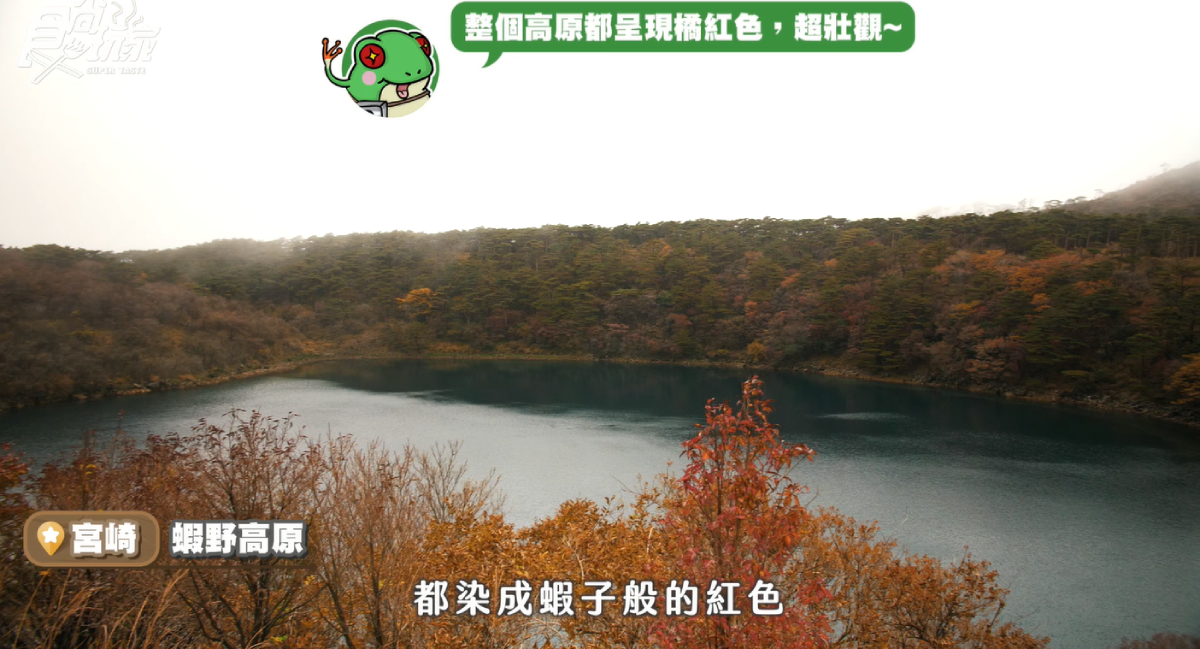 好想出國啊!日本南九州9個療癒景點美食,鹿兒島泡溫泉、宮崎牛鐵板燒此生必去 好想出國啊!日本南九州9個療癒景點美食,鹿兒島泡溫泉、宮崎牛鐵板燒此生必去