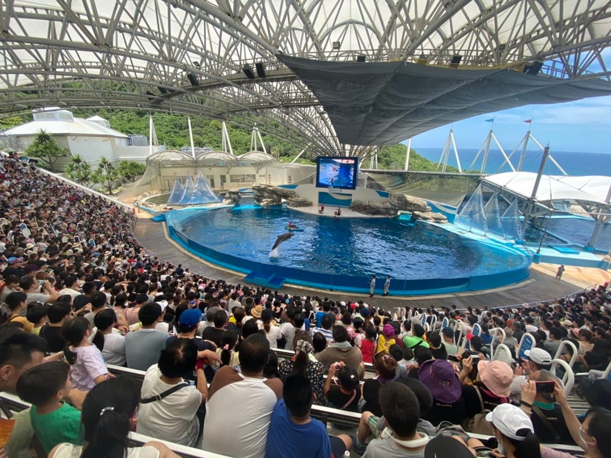 228連假出門玩!全台13間樂園門票優惠:兒童「免費入園」、屬牛99元、鄉親現省191元 228連假出門玩!全台13間樂園門票優惠:兒童「免費入園」、屬牛99元、鄉親現省191元