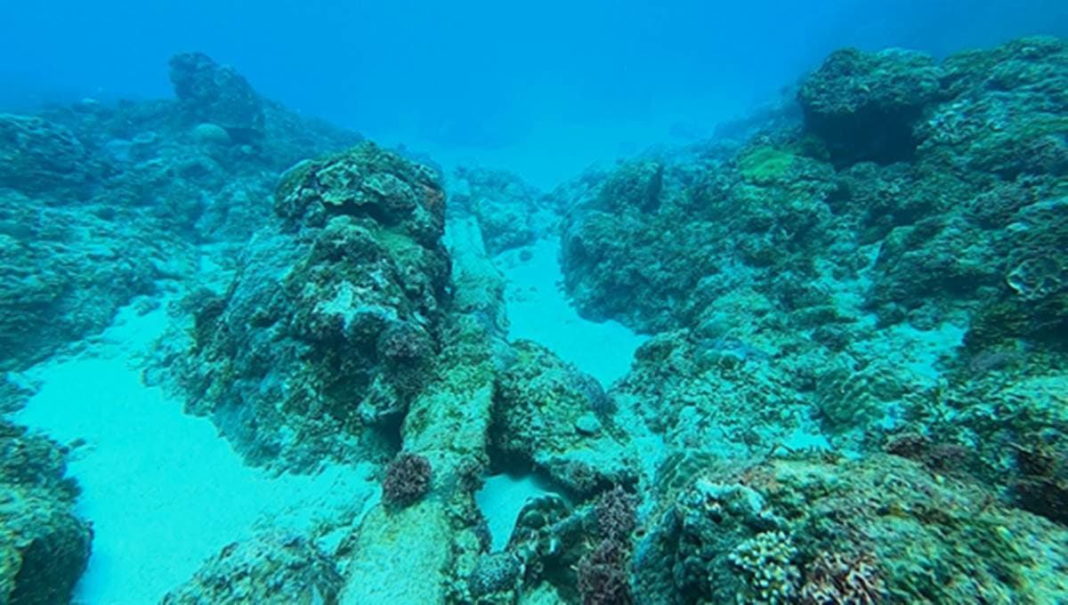 優游海底世界!墾丁考「潛水證照」全攻略,有機會與藍點魟、沙丁魚共游 優游海底世界!墾丁考「潛水證照」全攻略,有機會與藍點魟、沙丁魚共游