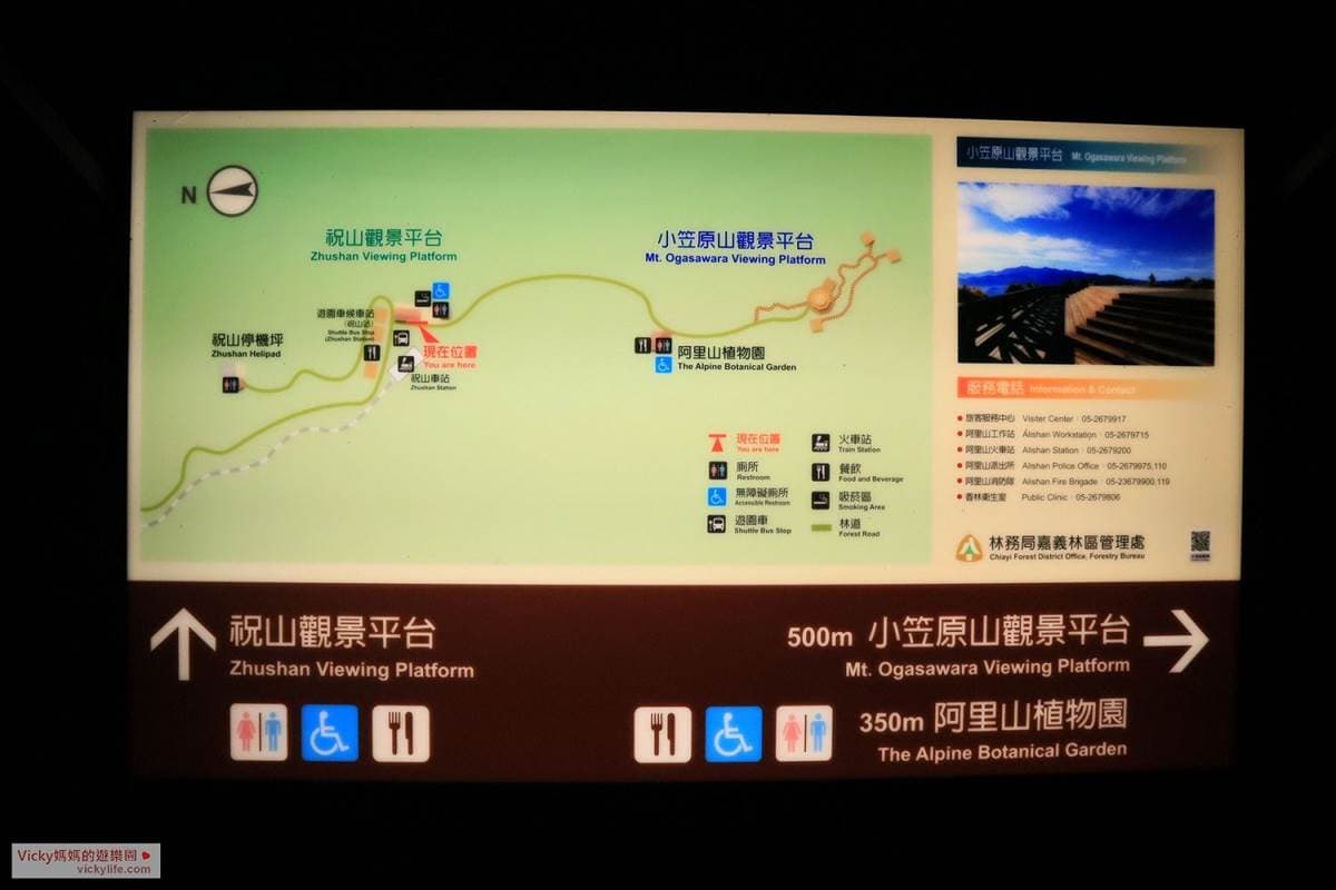 阿里山親子遊提案!搭火車看日出美景,沿途逛山椒魚館、森林天空步道 阿里山親子遊提案!搭火車看日出美景,沿途逛山椒魚館、森林天空步道