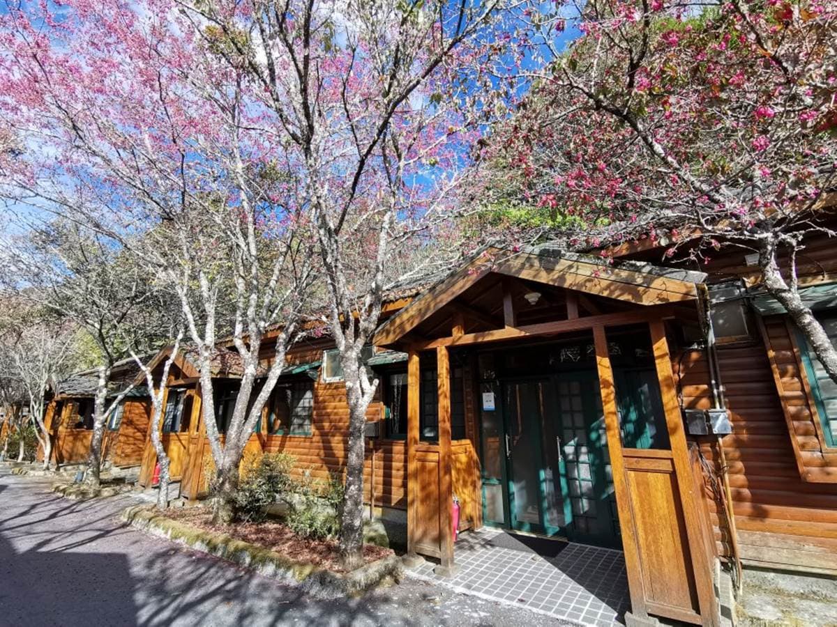 大雪山全攻略!櫻花、神木、天池美景一次包,還有機會偶遇山羌、藍腹鷴 大雪山全攻略!櫻花、神木、天池美景一次包,還有機會偶遇山羌、藍腹鷴