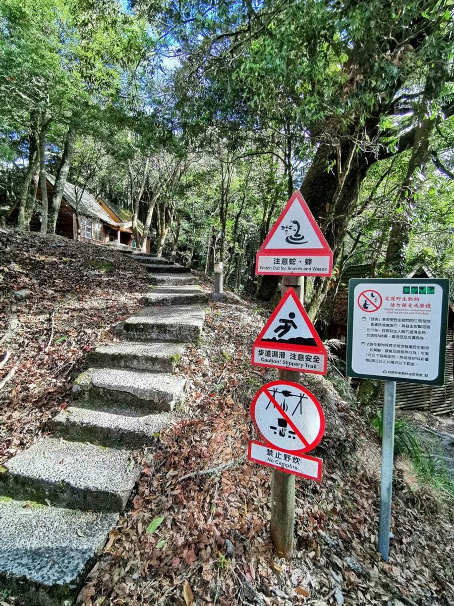 大雪山全攻略!櫻花、神木、天池美景一次包,還有機會偶遇山羌、藍腹鷴 大雪山全攻略!櫻花、神木、天池美景一次包,還有機會偶遇山羌、藍腹鷴