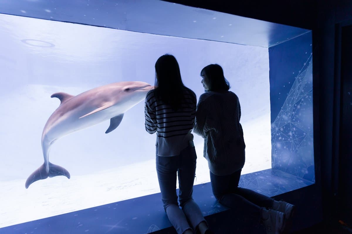 台中海生館明年開幕!10公尺深巨型水槽與4大展區必看,遠雄海洋公園祭住宿+門票37折 台中海生館明年開幕!10公尺深巨型水槽與4大展區必看,遠雄海洋公園祭住宿+門票37折