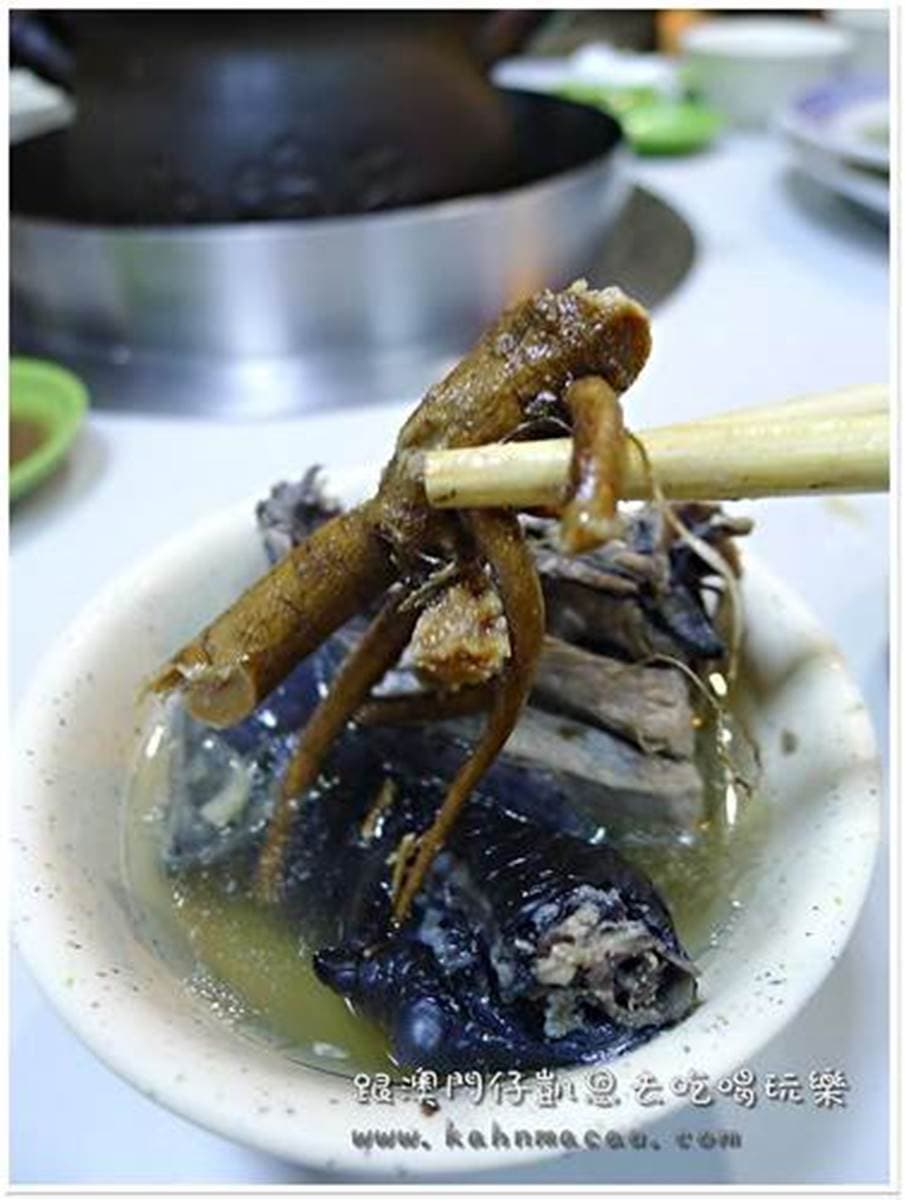 台中超人氣消夜!烏骨雞料理有10多種口味,先嘗陳年菜脯、九尾雞湯 台中超人氣消夜!烏骨雞料理有10多種口味,先嘗陳年菜脯、九尾雞湯