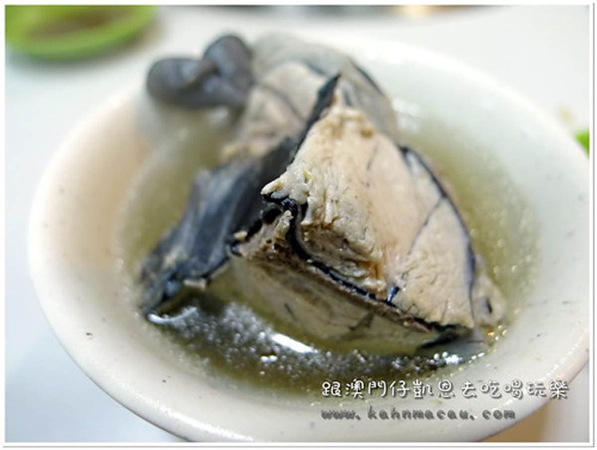 台中超人氣消夜!烏骨雞料理有10多種口味,先嘗陳年菜脯、九尾雞湯 台中超人氣消夜!烏骨雞料理有10多種口味,先嘗陳年菜脯、九尾雞湯