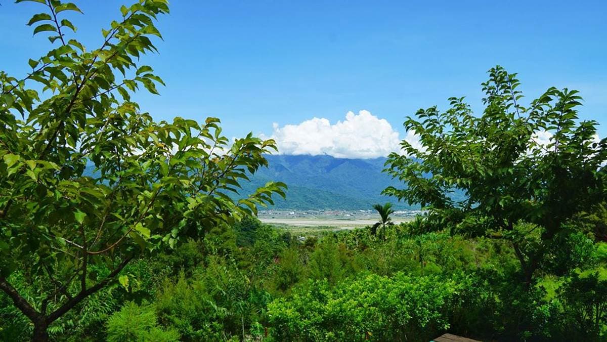 到山裡泡百年湯泉!花蓮度假山莊住檜木屋泡不摻水原泉,還能散步茶樹森林 到山裡泡百年湯泉!花蓮度假山莊住檜木屋泡不摻水原泉,還能散步茶樹森林