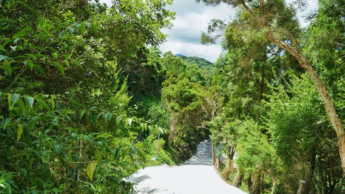 到山裡泡百年湯泉!花蓮度假山莊住檜木屋泡不摻水原泉,還能散步茶樹森林 到山裡泡百年湯泉!花蓮度假山莊住檜木屋泡不摻水原泉,還能散步茶樹森林