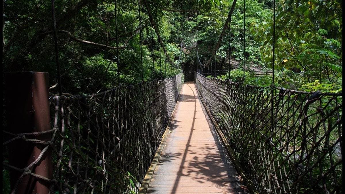 小烏來就這樣玩!透明天空步道賞溪谷美景,挑戰70公尺繩橋還能打卡絕美瀑布 小烏來就這樣玩!透明天空步道賞溪谷美景,挑戰70公尺繩橋還能打卡絕美瀑布
