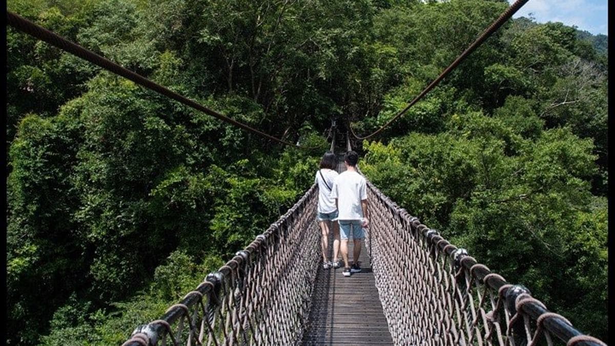 小烏來就這樣玩!透明天空步道賞溪谷美景,挑戰70公尺繩橋還能打卡絕美瀑布 小烏來就這樣玩!透明天空步道賞溪谷美景,挑戰70公尺繩橋還能打卡絕美瀑布