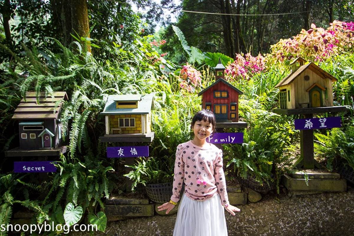 台中網美聖地!「薰衣草森林」12處打卡點:夢幻旋轉木馬、天空鞦韆、許願樹 台中網美聖地!「薰衣草森林」12處打卡點:夢幻旋轉木馬、天空鞦韆、許願樹