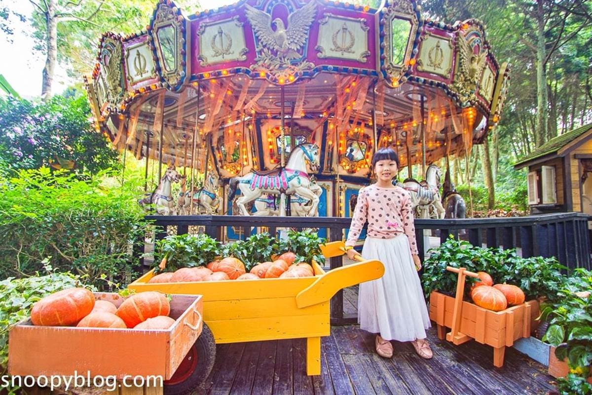 台中網美聖地!「薰衣草森林」12處打卡點:夢幻旋轉木馬、天空鞦韆、許願樹 台中網美聖地!「薰衣草森林」12處打卡點:夢幻旋轉木馬、天空鞦韆、許願樹
