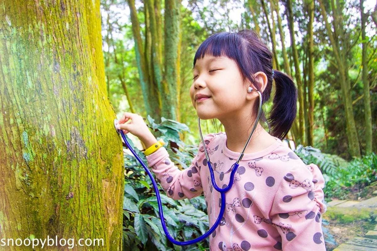 台中網美聖地!「薰衣草森林」12處打卡點:夢幻旋轉木馬、天空鞦韆、許願樹 台中網美聖地!「薰衣草森林」12處打卡點:夢幻旋轉木馬、天空鞦韆、許願樹