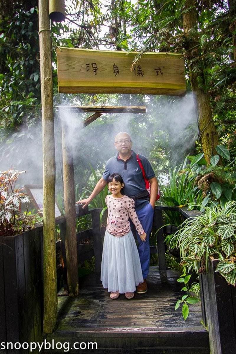 台中網美聖地!「薰衣草森林」12處打卡點:夢幻旋轉木馬、天空鞦韆、許願樹 台中網美聖地!「薰衣草森林」12處打卡點:夢幻旋轉木馬、天空鞦韆、許願樹