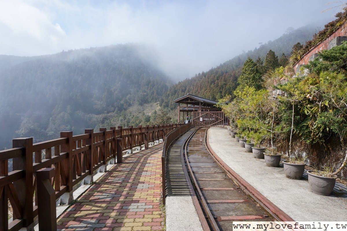 森林浴+溫泉浴雙享受!搭蹦蹦車美拍宜蘭太平山,順路喝雲海咖啡、泡仙氣美人湯 森林浴+溫泉浴雙享受!搭蹦蹦車美拍宜蘭太平山,順路喝雲海咖啡、泡仙氣美人湯