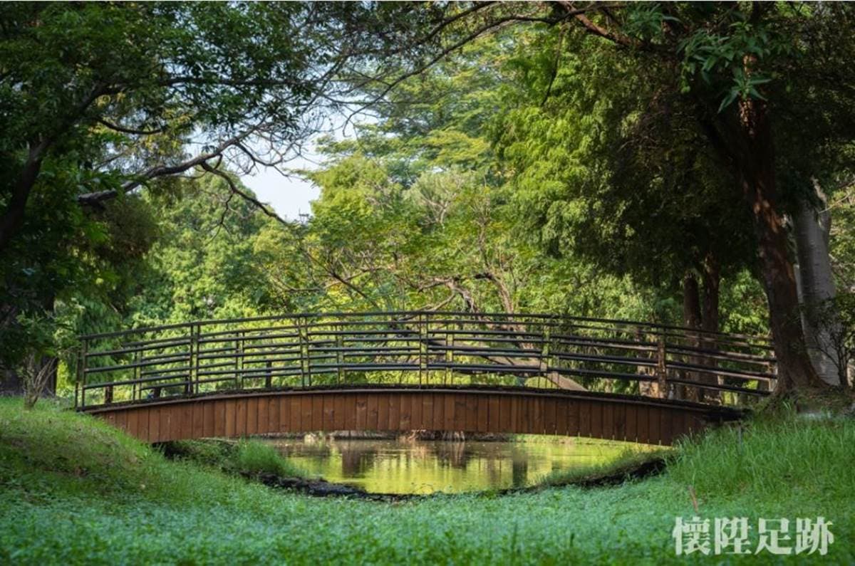 台版紐約中央公園!市區洗森林浴,打卡浪漫夢湖、夫妻樹、荷花池畔拱橋 台版紐約中央公園!市區洗森林浴,打卡浪漫夢湖、夫妻樹、荷花池畔拱橋
