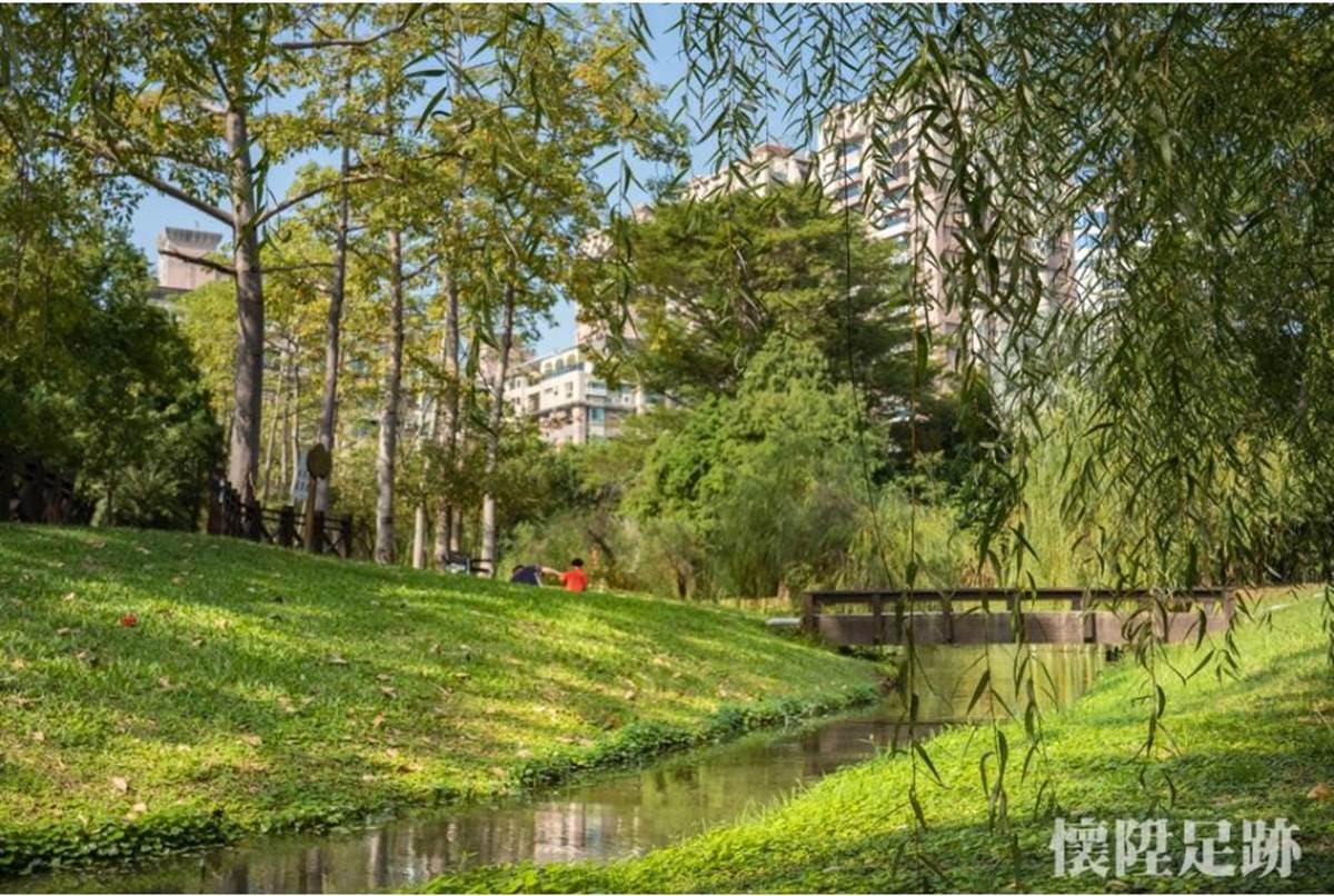 台版紐約中央公園!市區洗森林浴,打卡浪漫夢湖、夫妻樹、荷花池畔拱橋 台版紐約中央公園!市區洗森林浴,打卡浪漫夢湖、夫妻樹、荷花池畔拱橋