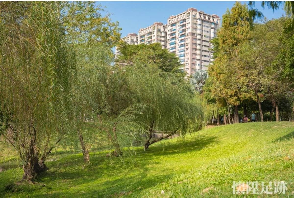 台版紐約中央公園!市區洗森林浴,打卡浪漫夢湖、夫妻樹、荷花池畔拱橋 台版紐約中央公園!市區洗森林浴,打卡浪漫夢湖、夫妻樹、荷花池畔拱橋