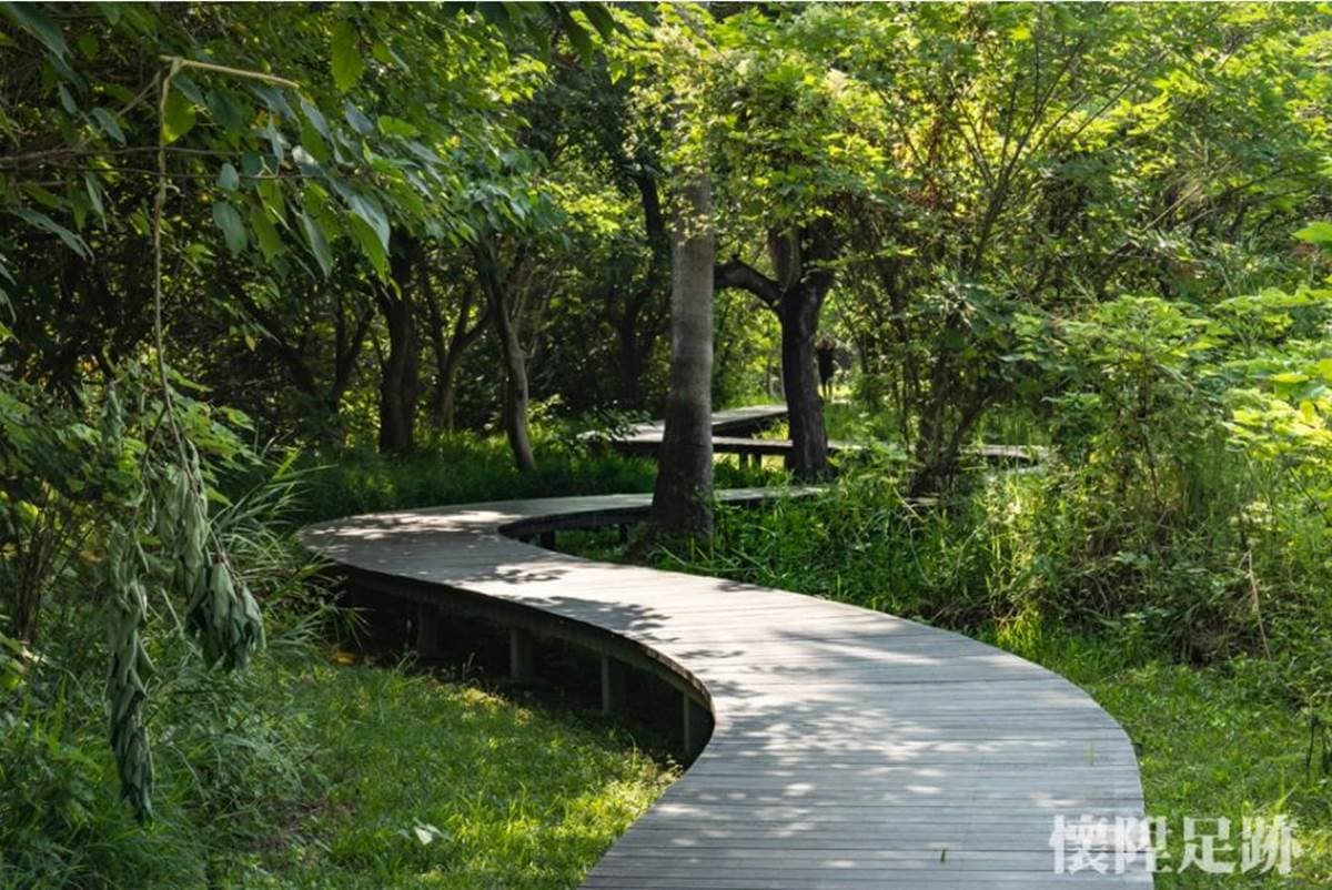 台版紐約中央公園!市區洗森林浴,打卡浪漫夢湖、夫妻樹、荷花池畔拱橋 台版紐約中央公園!市區洗森林浴,打卡浪漫夢湖、夫妻樹、荷花池畔拱橋